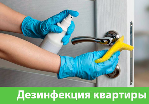 Дезинфекция квартиры в городе Астрахань