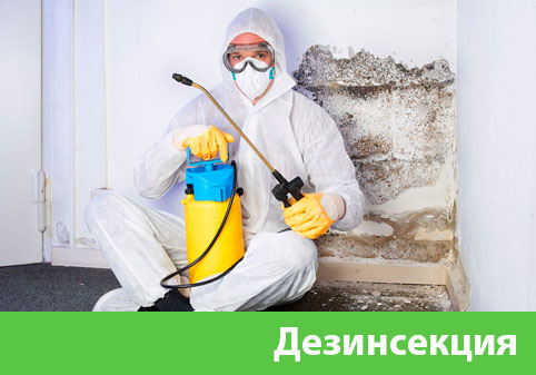 Дезинсекция в городе Астрахань