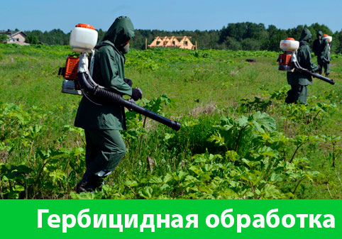 Гербицидная обработка в городе Астрахань