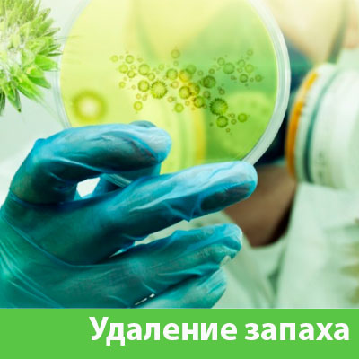 Удаление запахов в Астрахани