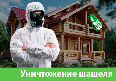 Уничтожение шашеля и личинок в Астрахани