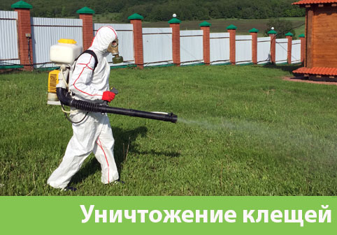 Уничтожение клещей в городе Астрахань
