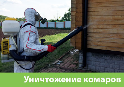 Уничтожение комаров в городе Астрахань